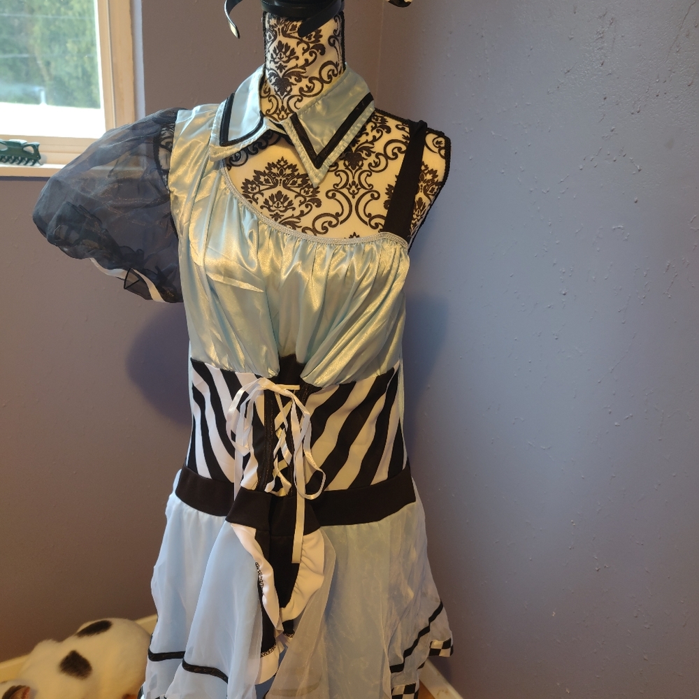 Alice in Wonderland Costume 3x/4x